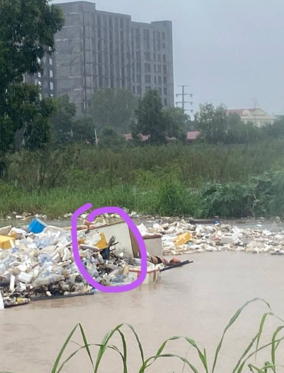 证据图片
