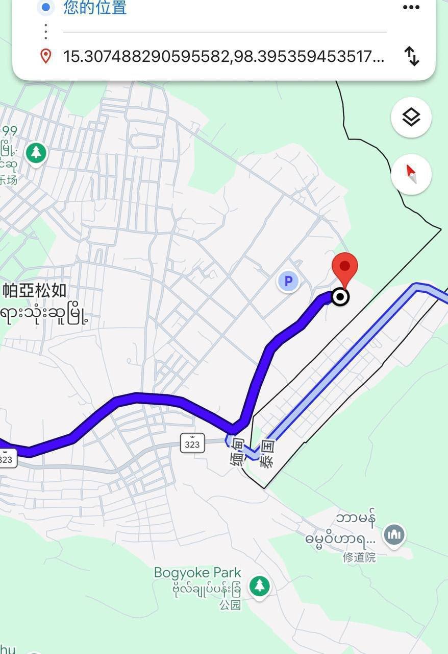 证据图片