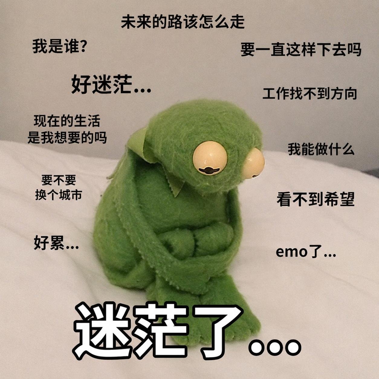 证据图片
