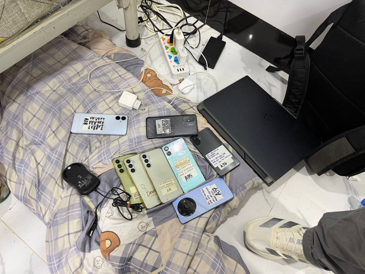 证据图片